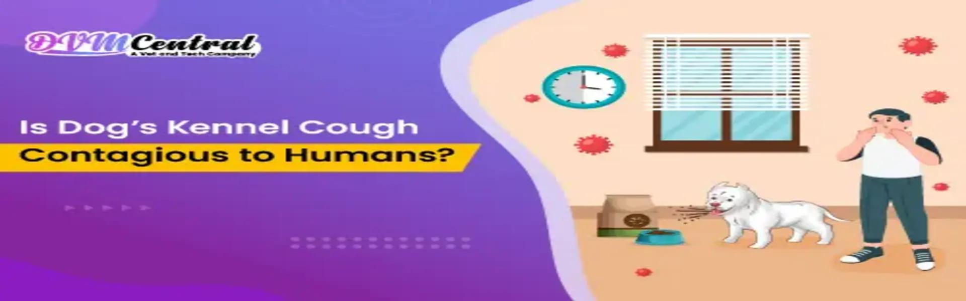 Pruritus in dogs: Diagnosis, Prevention and Effective Treatment Plan