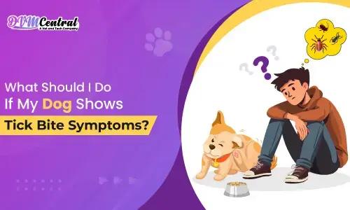 Vet Tech Employment Growth Rate and Job Opportunities in 2024