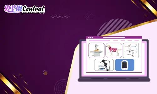 Dr. Marsella Instructs Vet and Tech CE Webinar on Pruritus in Dogs